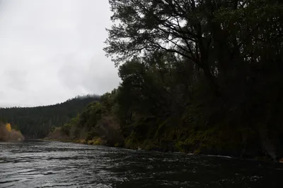 DSC_0205 (Large).JPG